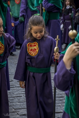 Procesión 2017 (Lillo)